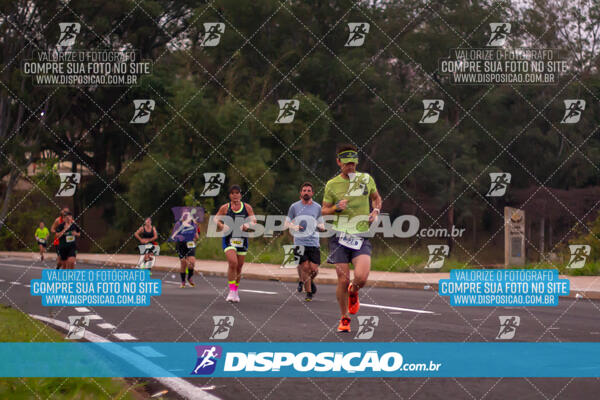 Maratona de Londrina 2024