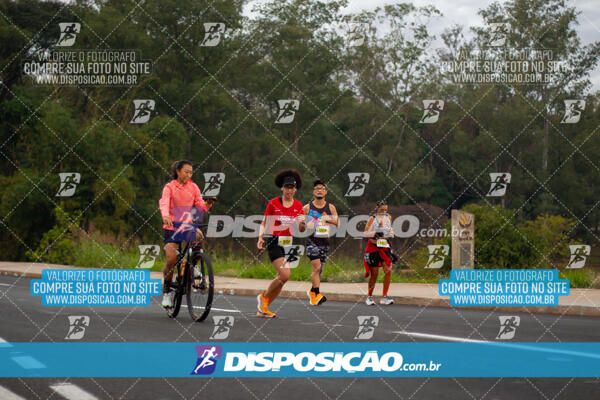 Maratona de Londrina 2024