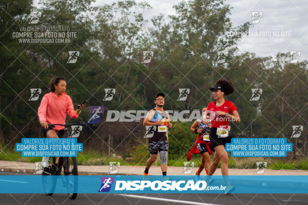 Maratona de Londrina 2024