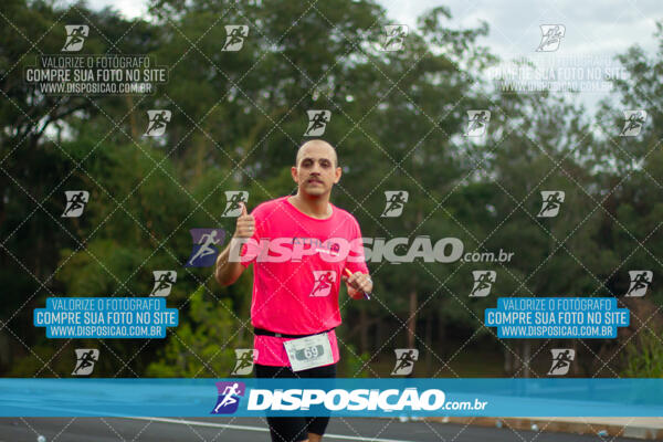 Maratona de Londrina 2024