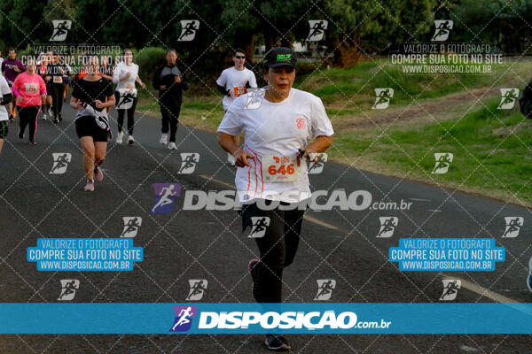 Alto Giro Run 2024