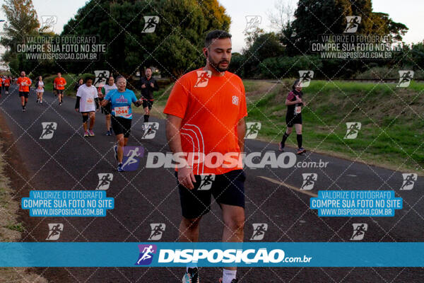 Alto Giro Run 2024