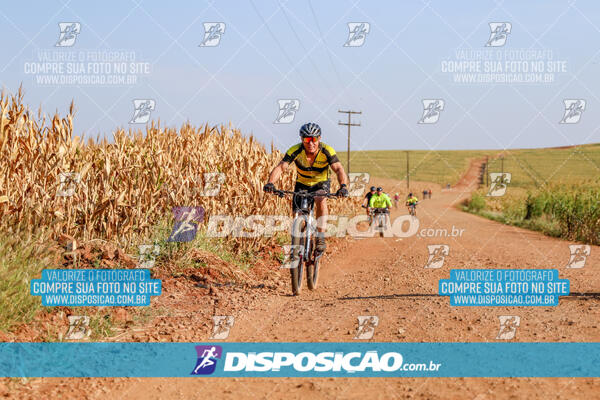 Circuito Ibiporã de MTB - Etapa Volta do Guarani