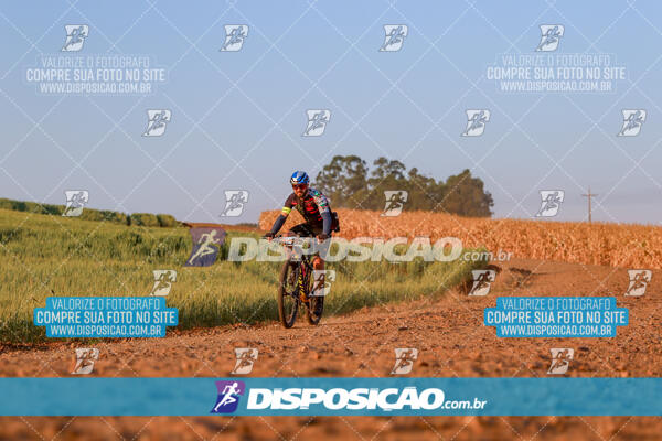 Circuito Ibiporã de MTB - Etapa Volta do Guarani