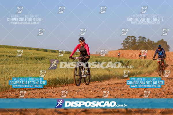 Circuito Ibiporã de MTB - Etapa Volta do Guarani