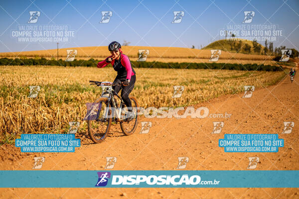 Circuito Ibiporã de MTB - Etapa Volta do Guarani