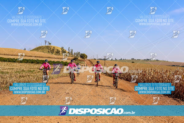 Circuito Ibiporã de MTB - Etapa Volta do Guarani