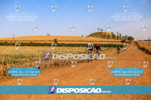 Circuito Ibiporã de MTB - Etapa Volta do Guarani