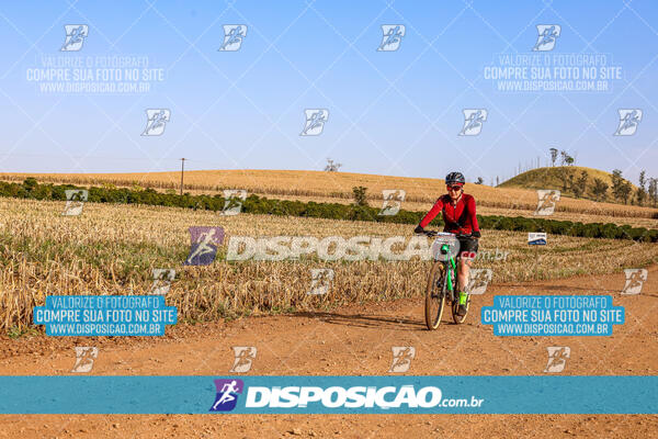 Circuito Ibiporã de MTB - Etapa Volta do Guarani