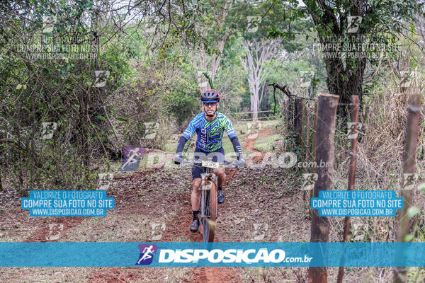 MTB Raízes 2024