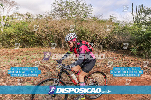 MTB Raízes 2024