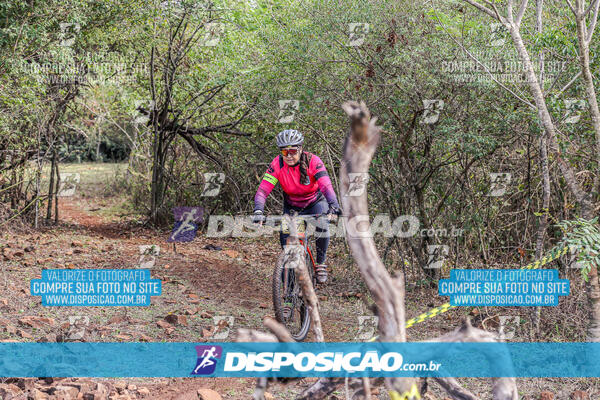 MTB Raízes 2024