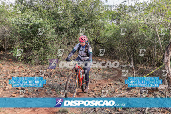 MTB Raízes 2024