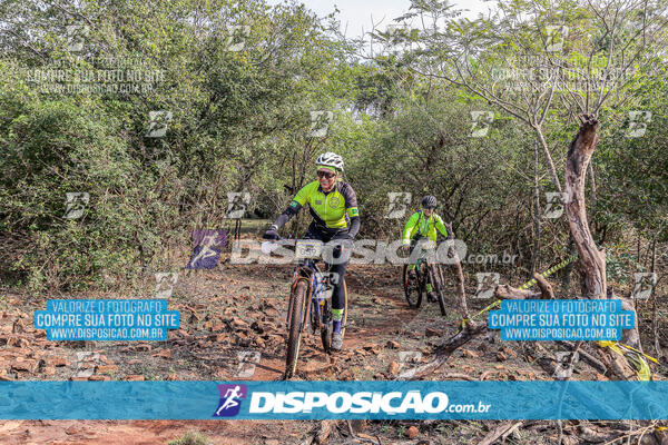 MTB Raízes 2024