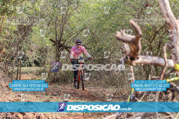 MTB Raízes 2024