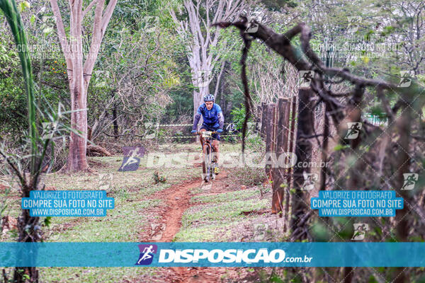 MTB Raízes 2024