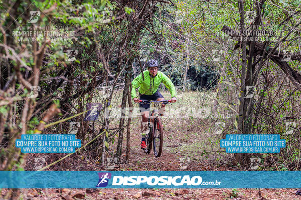 MTB Raízes 2024