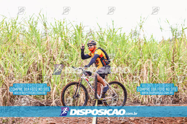 MTB Raízes 2024