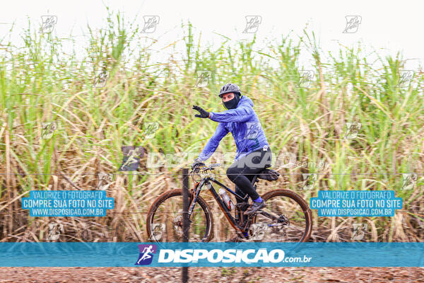 MTB Raízes 2024