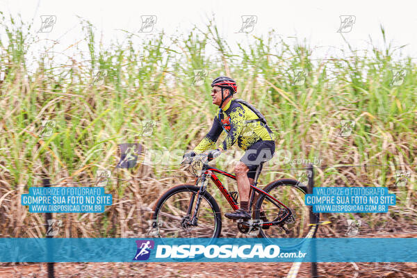 MTB Raízes 2024