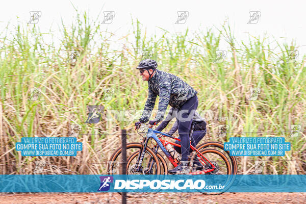 MTB Raízes 2024