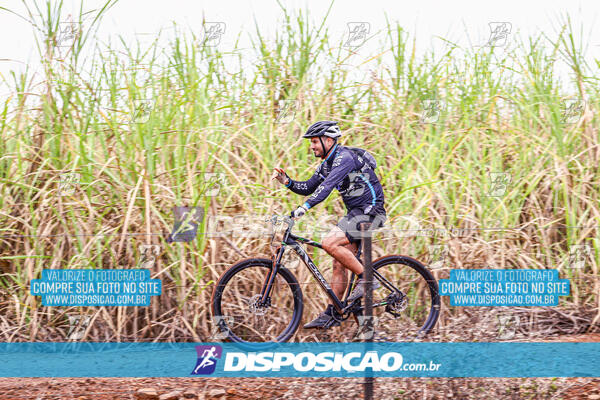 MTB Raízes 2024