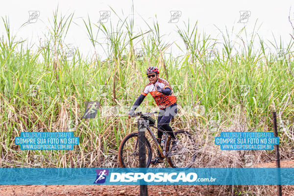 MTB Raízes 2024