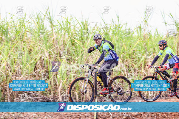 MTB Raízes 2024