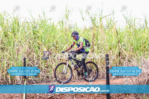 MTB Raízes 2024