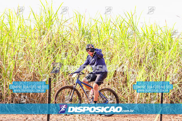 MTB Raízes 2024