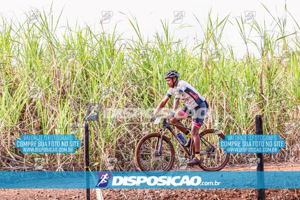 MTB Raízes 2024