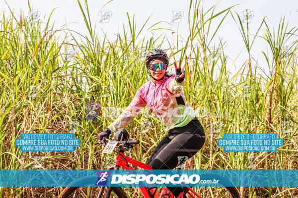 MTB Raízes 2024