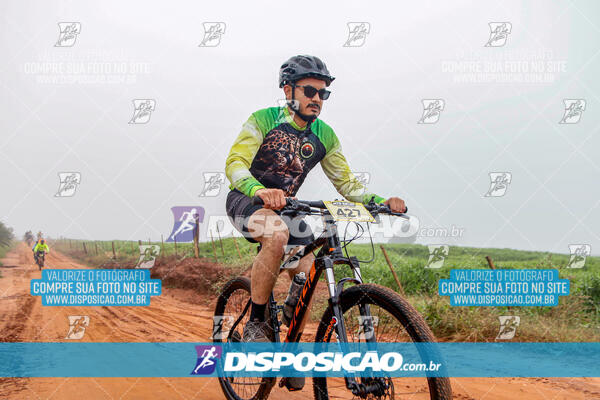 MTB Raízes 2024