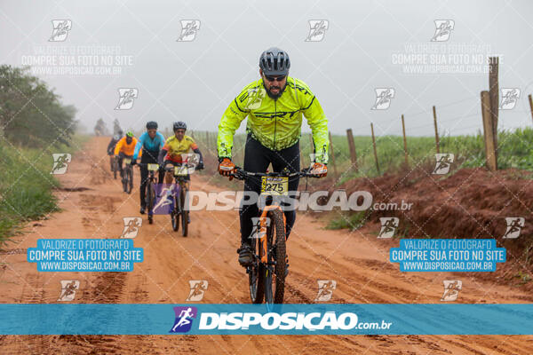 MTB Raízes 2024