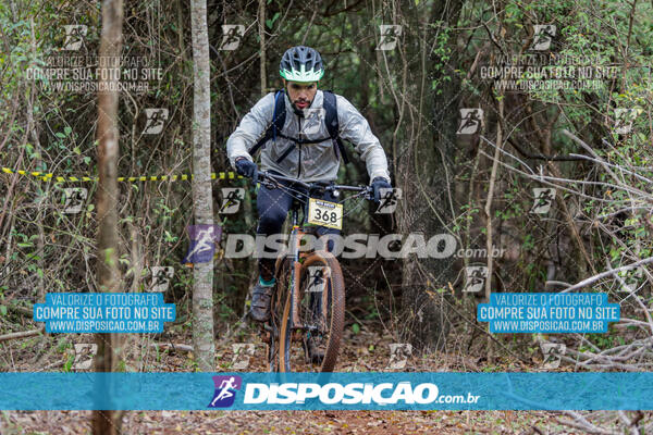 MTB Raízes 2024