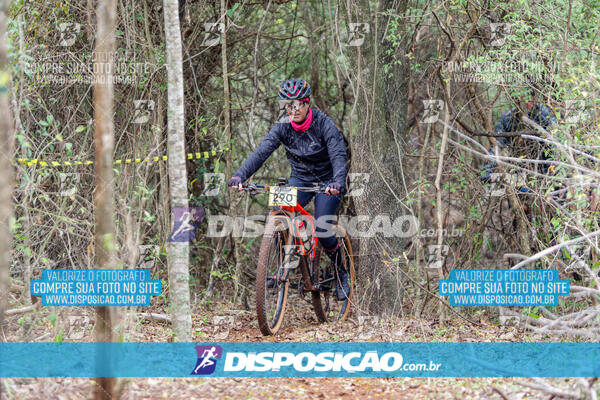 MTB Raízes 2024