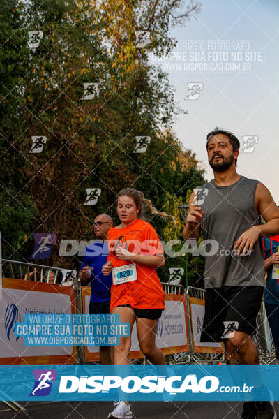 Corrida Mexa-se Pela Vida - Maringá 2024