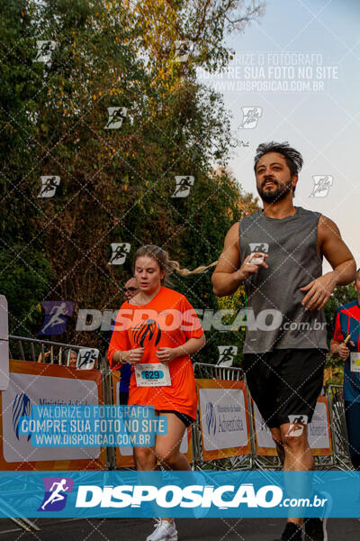 Corrida Mexa-se Pela Vida - Maringá 2024