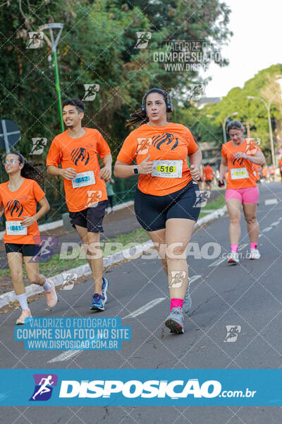 Corrida Mexa-se Pela Vida - Maringá 2024