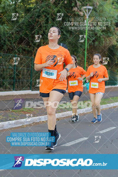 Corrida Mexa-se Pela Vida - Maringá 2024