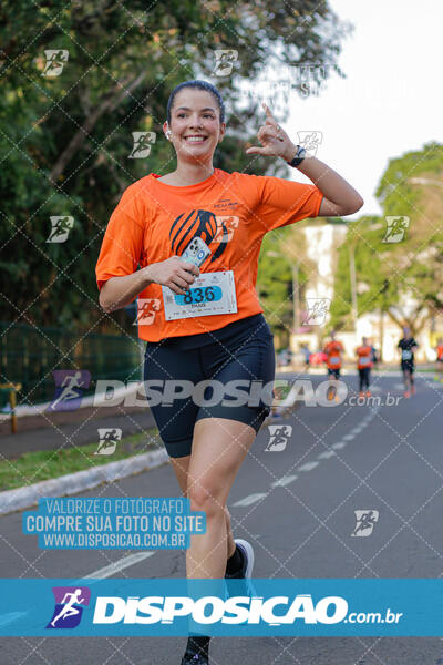 Corrida Mexa-se Pela Vida - Maringá 2024