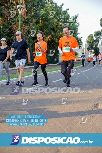 Corrida Mexa-se Pela Vida - Maringá 2024