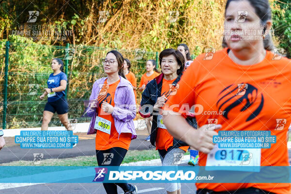 Corrida Mexa-se Pela Vida - Maringá 2024