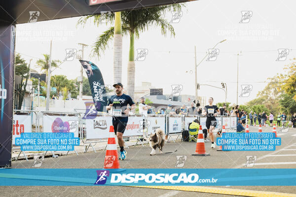 MEIA MARATONA MUFFATO FRESH RUN 2024 – LONDRINA