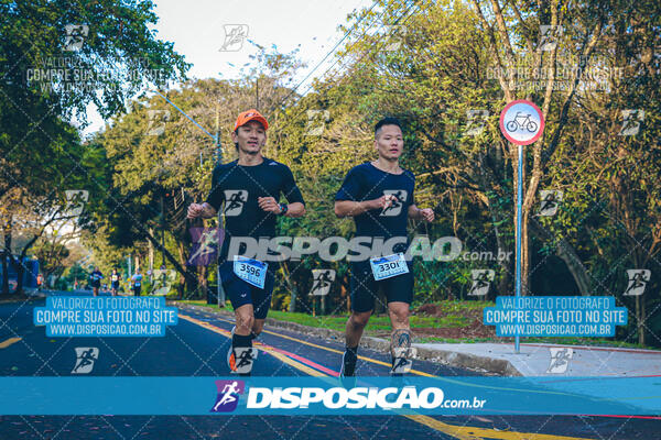 MEIA MARATONA MUFFATO FRESH RUN 2024 – LONDRINA