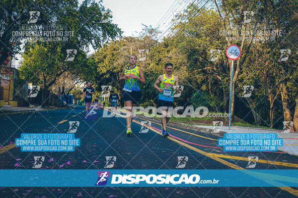 MEIA MARATONA MUFFATO FRESH RUN 2024 – LONDRINA