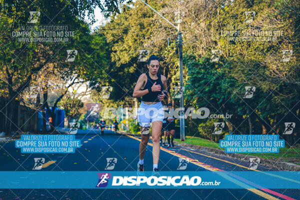 MEIA MARATONA MUFFATO FRESH RUN 2024 – LONDRINA