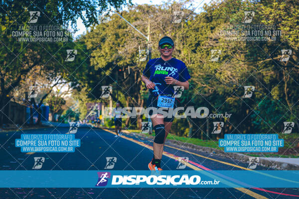 MEIA MARATONA MUFFATO FRESH RUN 2024 – LONDRINA