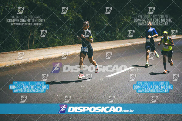 MEIA MARATONA MUFFATO FRESH RUN 2024 – LONDRINA