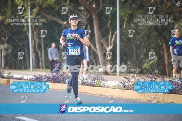 MEIA MARATONA MUFFATO FRESH RUN 2024 – LONDRINA